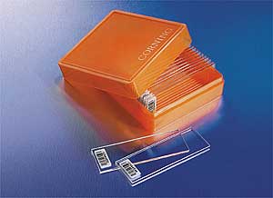 Corning �������������Ƭ