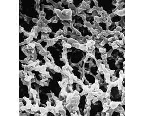 Millipore ΢����Ĥ