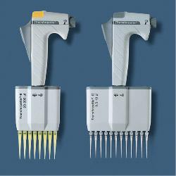 �¹�Brand ����ɵ���Һ��