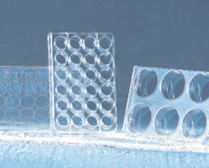 Greiner ϸ��������