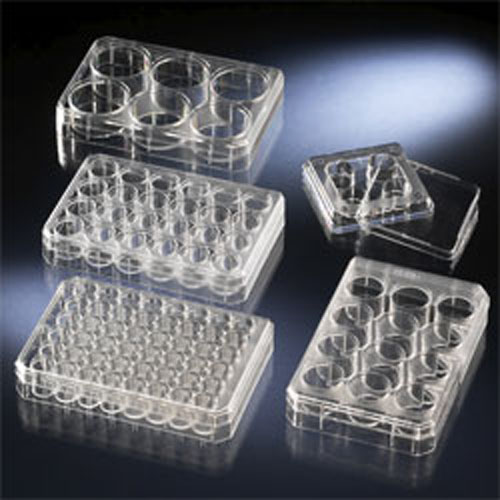 NUNC ������