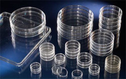 NUNC ������