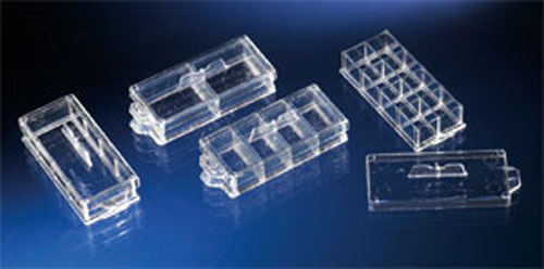 NUNC ������Ƭ